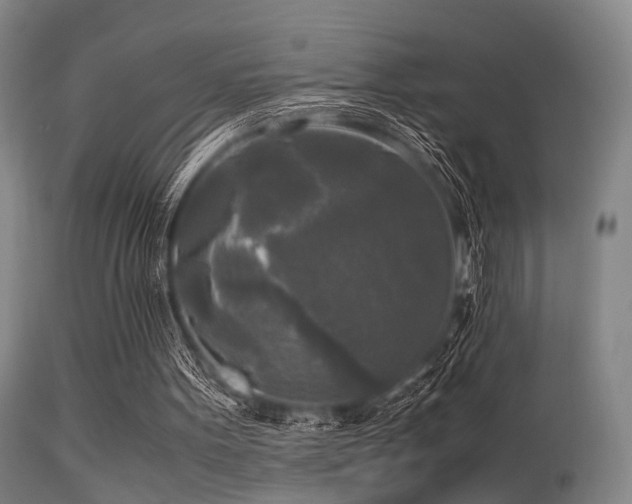 X0000113250099200909171635