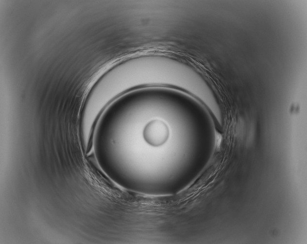 X0000113250100200909171635