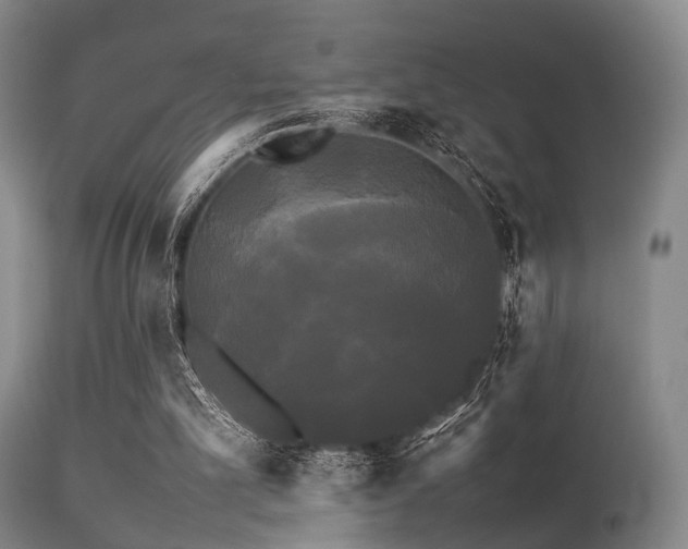 X0000113250101200909171635