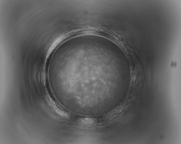 X0000113250102200909171635