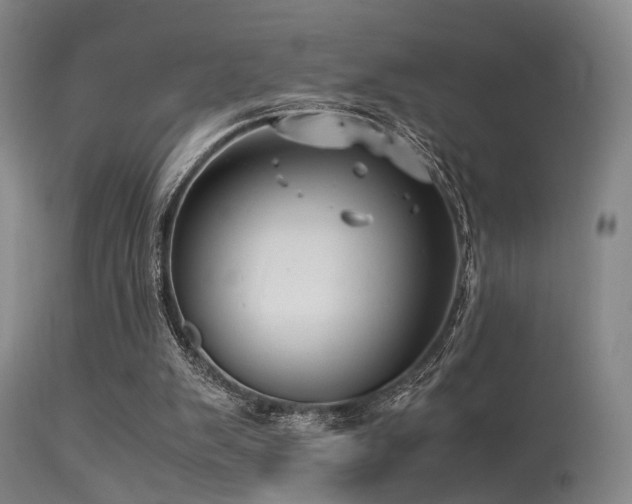 X0000113250103200909171635