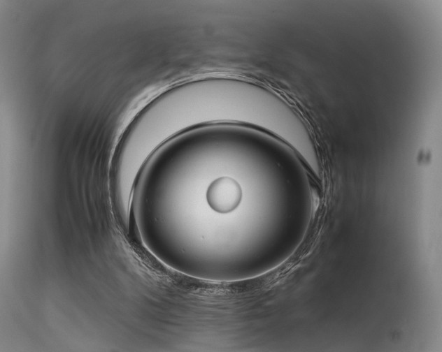 X0000113250104200909171635