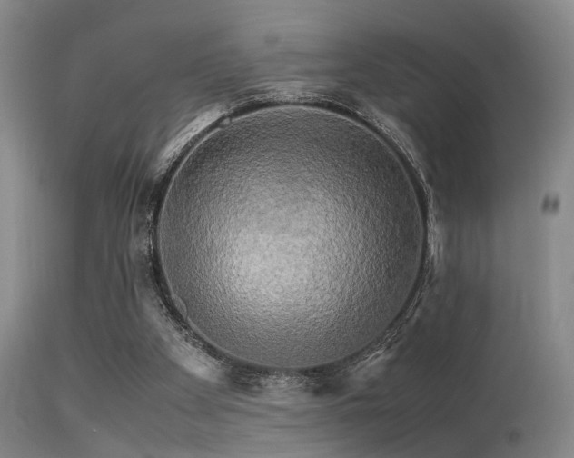 X0000113250105200909171635