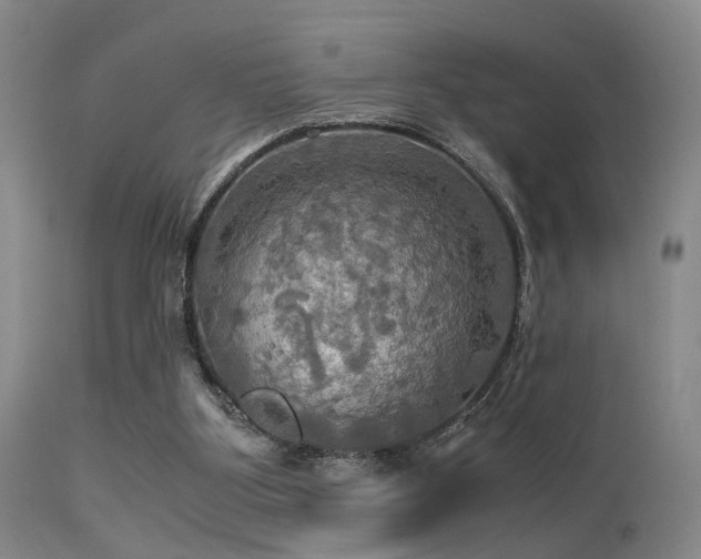 X0000113250107200909171635