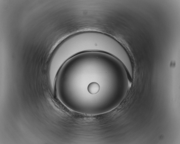 X0000113250108200909171635