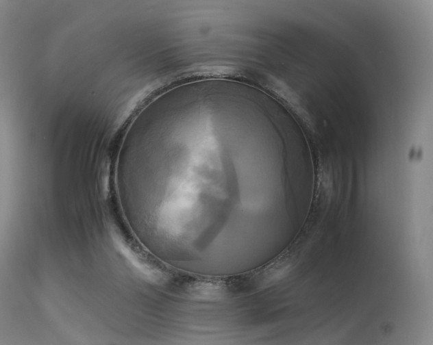 X0000113250110200909171635