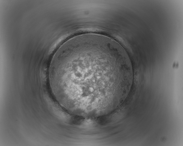 X0000113250111200909171635