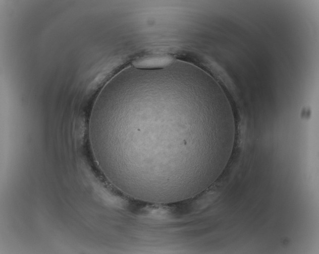 X0000113250113200909171635