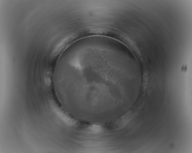 X0000113250114200909171635