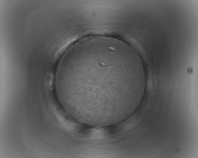 X0000113250115200909171635