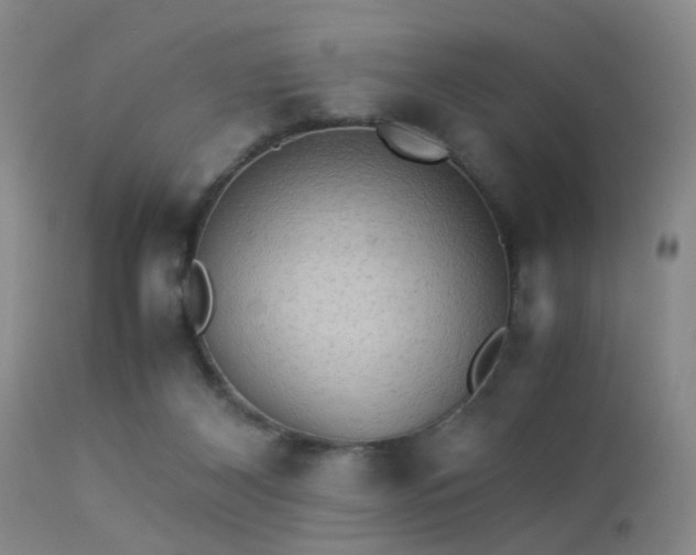 X0000113250116200909171635