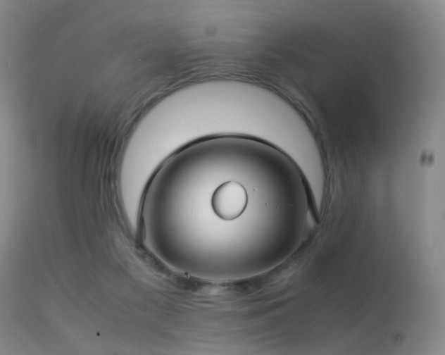 X0000113250117200909171635