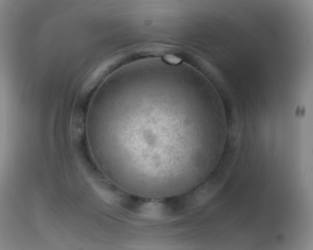 X0000113250119200909171635