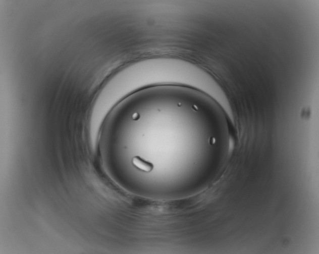 X0000113250120200909171635