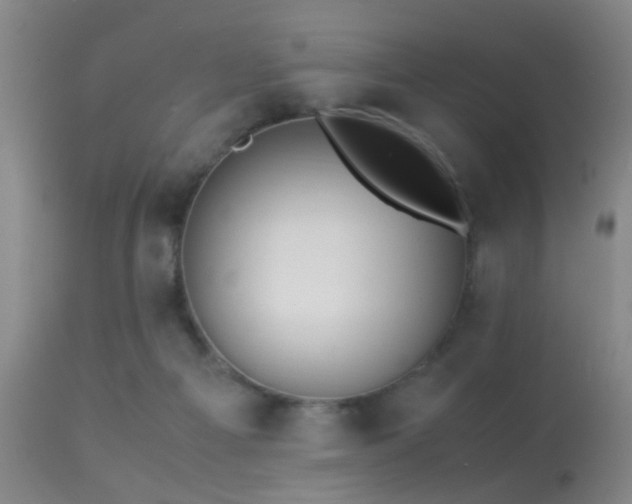 X0000113250121200909171635