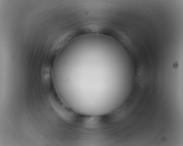 X0000113250122200909171635