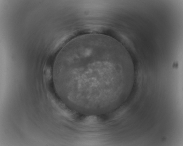 X0000113250123200909171635