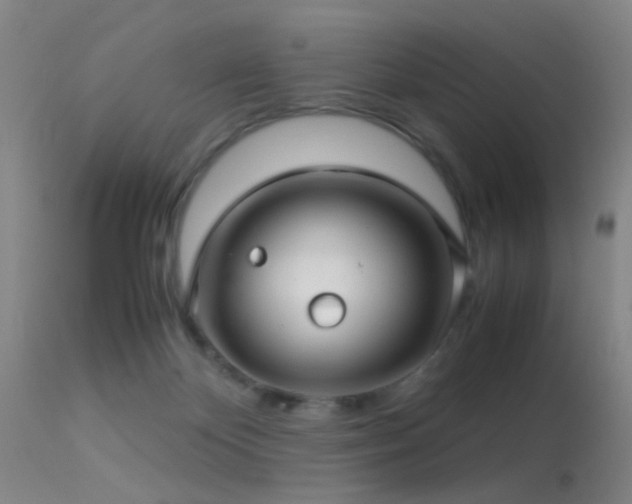 X0000113250124200909171635