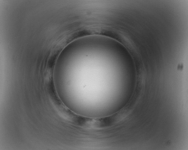 X0000113250125200909171635