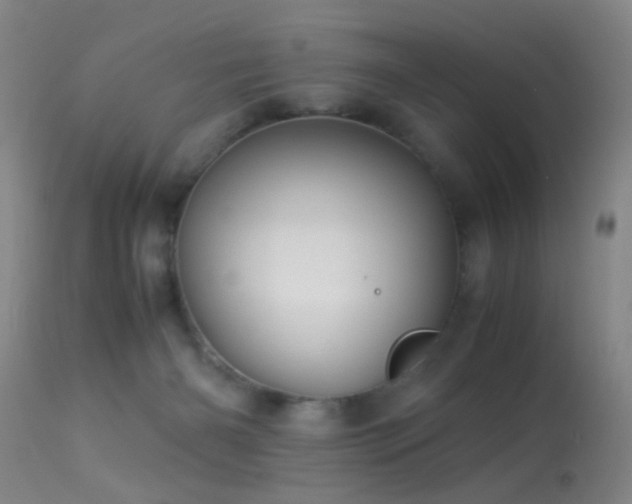 X0000113250126200909171635