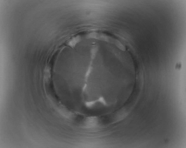 X0000113250127200909171635