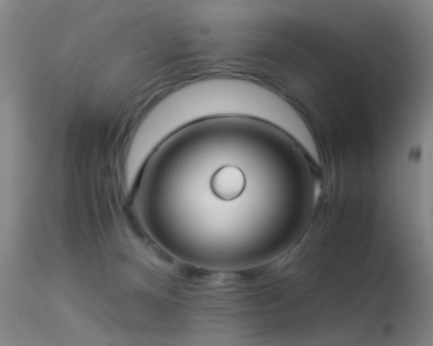 X0000113250128200909171635