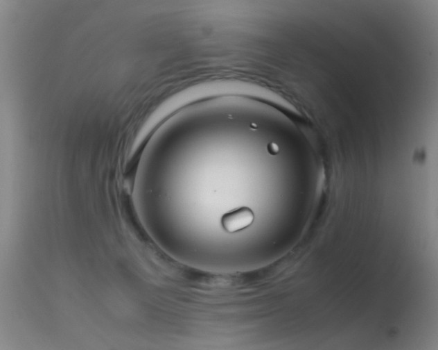 X0000113250129200909171635