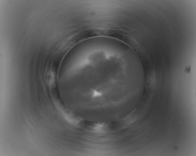 X0000113250130200909171635