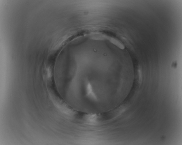 X0000113250131200909171635