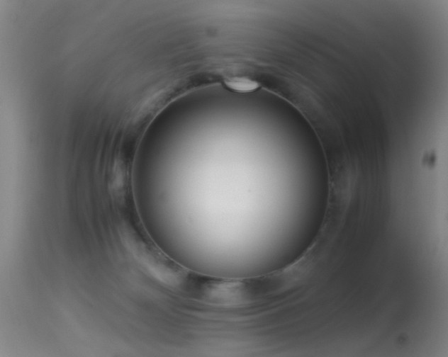 X0000113250132200909171635