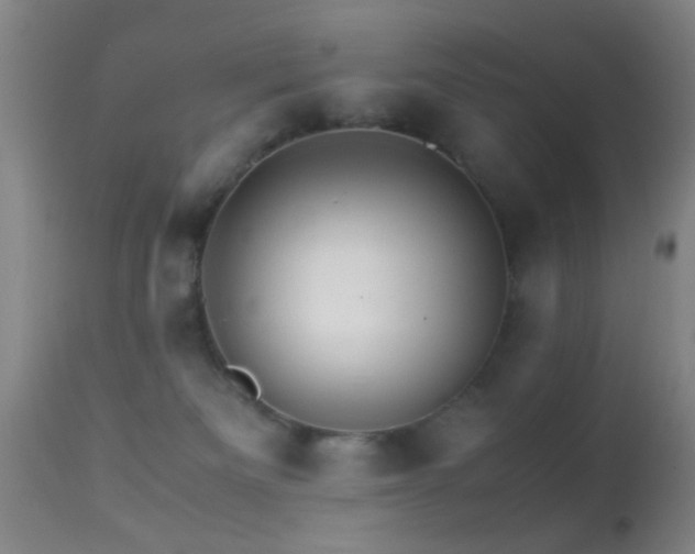 X0000113250133200909171635