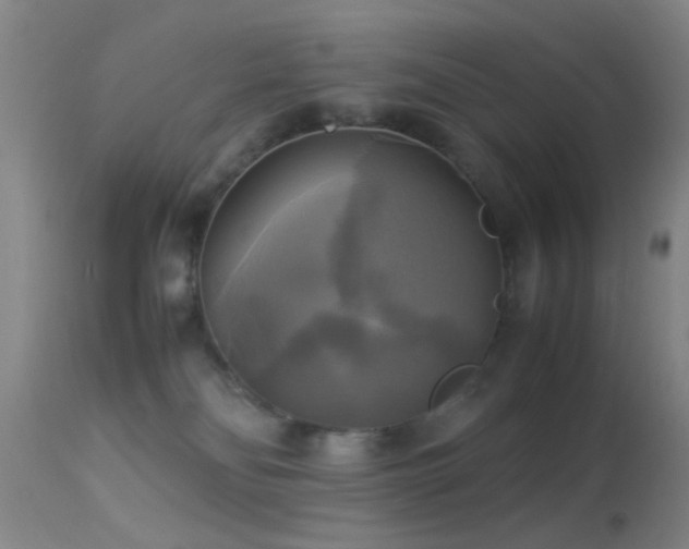 X0000113250134200909171635