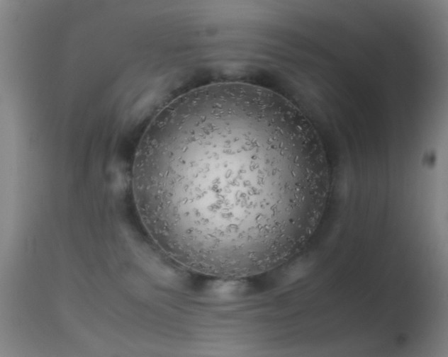 X0000113250135200909171635