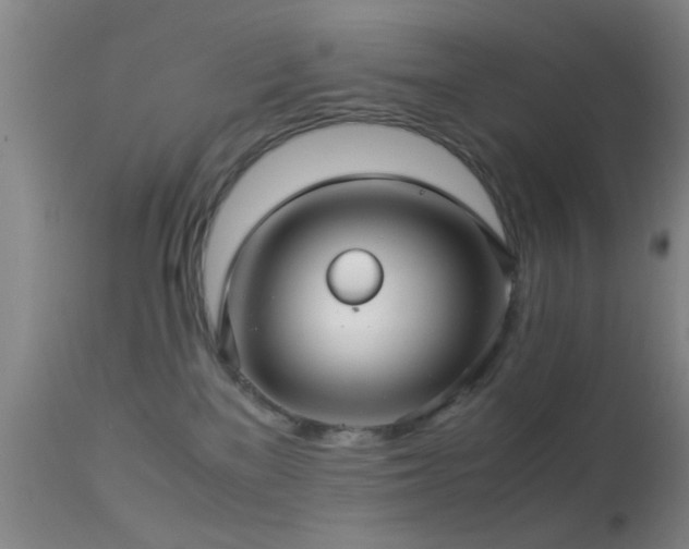 X0000113250137200909171634