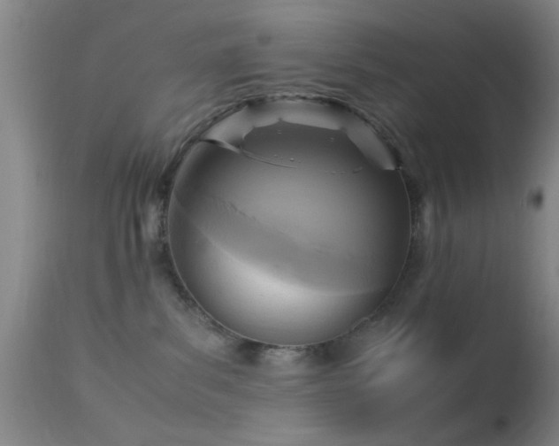 X0000113250139200909171634