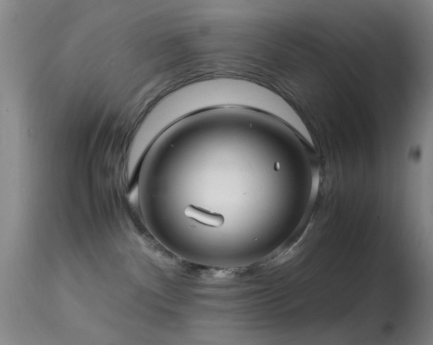 X0000113250140200909171634