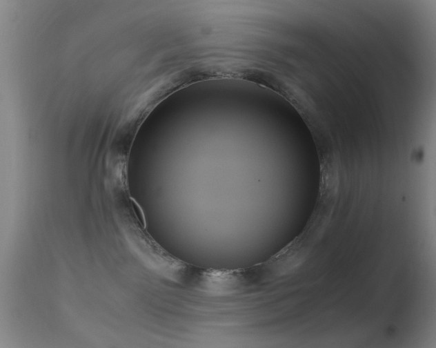 X0000113250141200909171634