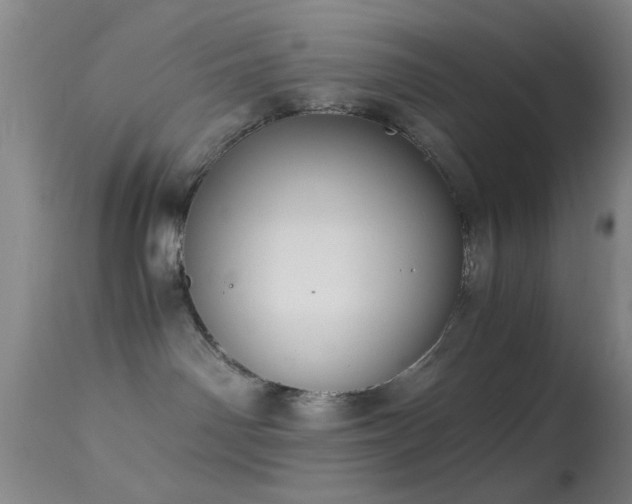 X0000113250142200909171634