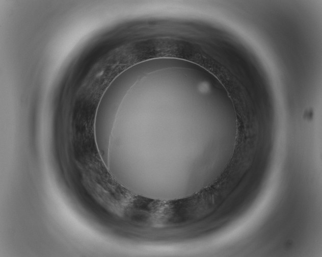 X0000113250143200909171634