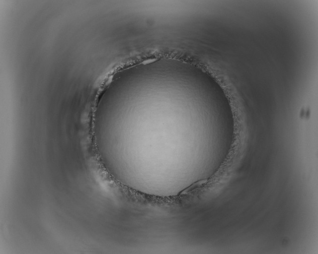 X0000113250144200909171634