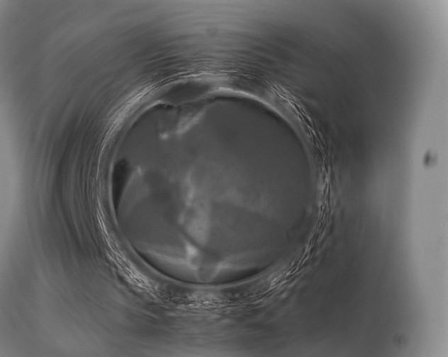 X0000113250145200909171634