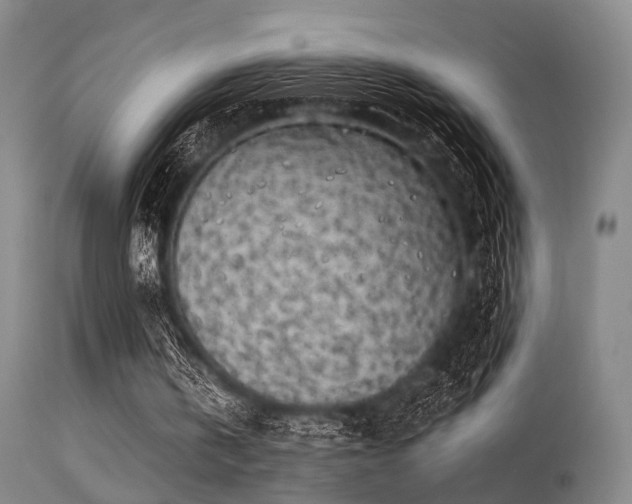X0000113250146200909171634