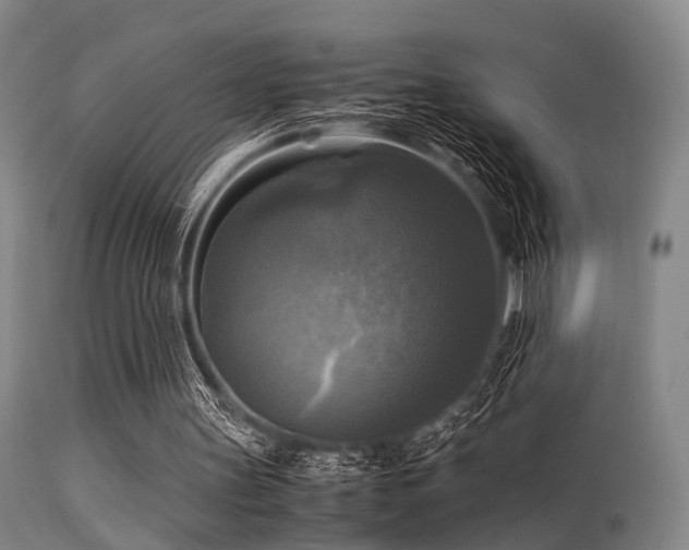 X0000113250147200909171634