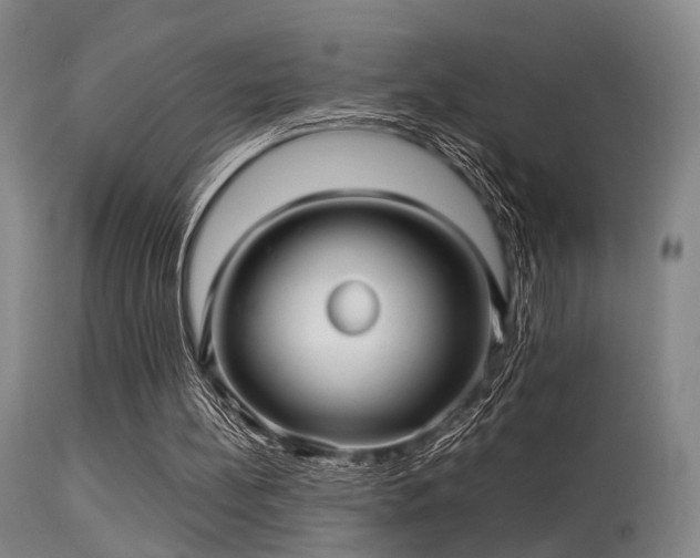 X0000113250148200909171634