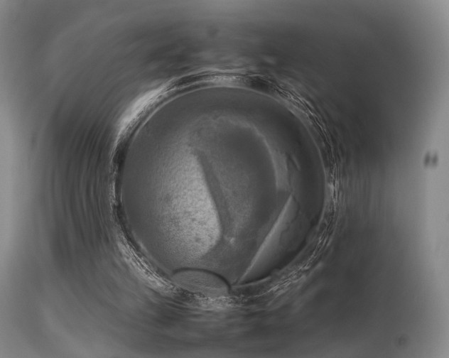 X0000113250149200909171634