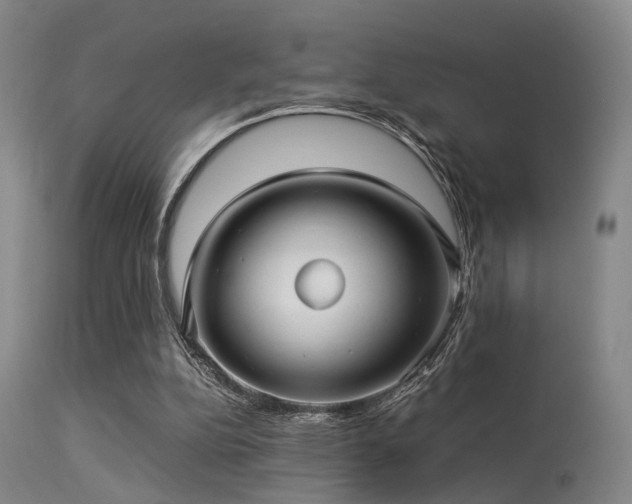 X0000113250152200909171634