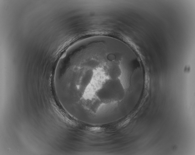 X0000113250153200909171634