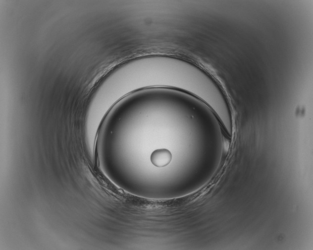 X0000113250154200909171634