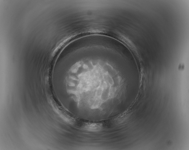 X0000113250155200909171634