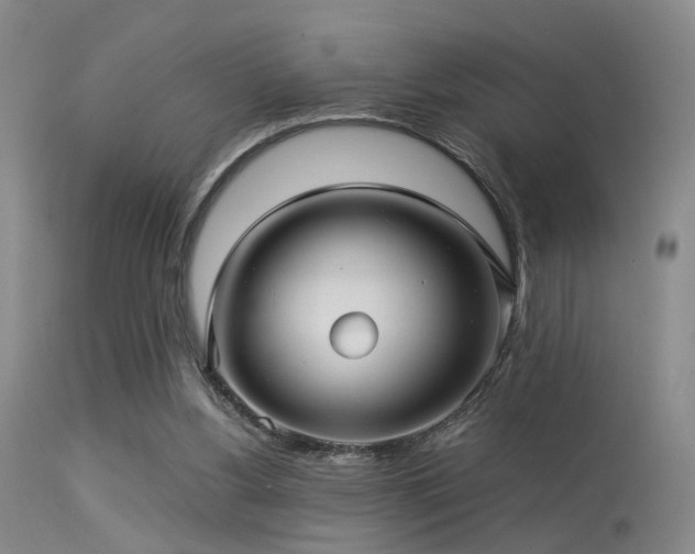 X0000113250156200909171634